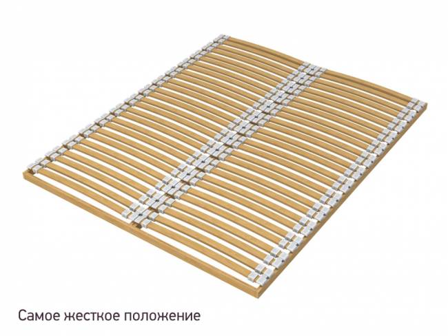 Основание Мультиламель